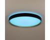 Потолочный светильник Citilux Boss CL751451G