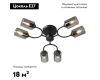 Потолочная люстра Vitaluce V2823-1/6PL