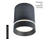 Потолочный светодиодный светильник Arte Lamp A1909PL-1BK