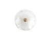 Настенный светильник Loft IT Bloom 10352W/A AB
