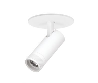 Встраиваемый светильник 20-55G с адаптером Lightstar Canno Pro C4126RS