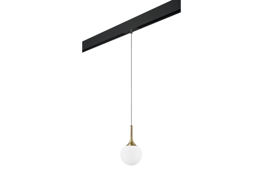 Трековый светильник Lightstar Globo PRO813012 (813012+595007)