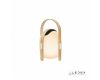 Настольная лампа iLedex Giggle OVS0990-CH WH