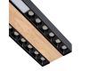 Потолочный светильник F-Promo Zebra 4440-2C