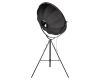 Торшер Loft IT Studio 10301/L