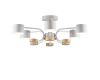 Люстра на штанге Lumion Rondo 8231/6C
