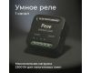 Умное одноканальное реле Elektrostandard 4690389185069 a059324