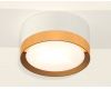 Потолочный светильник Ambrella Light Techno Spot XS8101005 (C8101, N8124)