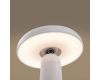 Настольная аккумуляторная лампа Freya Mushroom FR6109TL-L4W