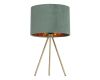 Настольная лампа ST Luce Fuego SL6242.704.01