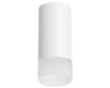 Накладной светильник Lightstar Rullo R43631 (214436+202431)