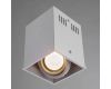 Потолочный светильник Arte Lamp Cardani A5942PL-1WH