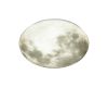 Настенно-потолочный светильник Sonex Moon 3084/CL