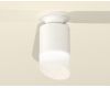 Накладной светильник Ambrella Light Techno XS6301105 (N6901, C6301, N6256)