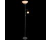 Торшер Arte Lamp Duetto A9569PN-2SI