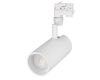 Трековый светильник Arlight LGD-ZEUS-4TR-R100-30W Day 024609