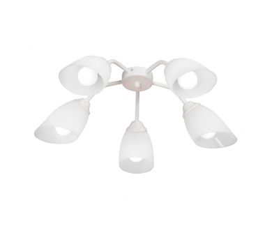 Купить Потолочная люстра Vitaluce V31950/5PL Потолочная люстра Vitaluce V31950/5PL