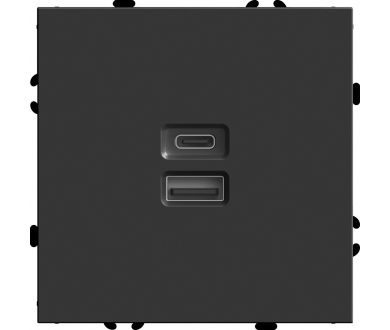 Розетка 2-местная USB + Type C Stekker RST10-5115-05 Эмили 49853