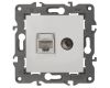 Розетка RJ45+TV Эра 14-3110-01 Б0034314