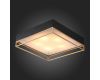 Накладная люстра ST-Luce SL1127.422.05