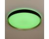 Потолочный светильник Citilux Boss CL751451G