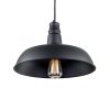 Подвесной светильник Citilux Эдисон CL450204