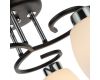 Потолочная люстра Arte Lamp Krit A4505PL-3BK