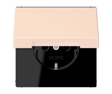 Розетка 2K+З с крышкой Jung LC1520BFKL226