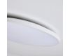 Настенно-потолочный светильник Lightstar Arco Eco 225730