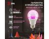Фитолампа для растений Эра ФИТО A65-20W-PL-E27-GR Б0068597