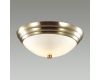 Настенно-потолочный светильник Lumion Vintage 5262/2C