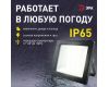 Прожектор Эра LPR-042-3-65K-050 Б0064410