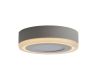 Потолочный светодиодный светильник Arte Lamp Antares A7816PL-2WH