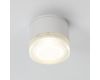 Уличный потолочный светильник Arte Lamp Piautos A1926PF-1WH