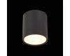 Потолочный светильник ST Luce Rene ST113.432.05
