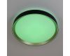 Потолочный светильник Citilux Boss CL751351G