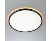 Потолочный светильник Citilux Norma CL749401