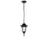 Уличный подвесной светильник ЭРА Галатея GBS-105-BL-0800 230В Е27 IP54 чёрный Б0071486