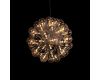 Подвесная люстра LOFT IT Taraxacum 10470/600