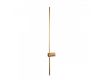 Настенный светильник Loft IT Rays 10053GD