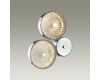 Настенный светильник Odeon Light Caramella 5416/14WL