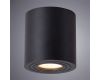 Накладной светильник ARTE Lamp A1460PL-1BK