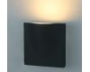 Уличный настенный светодиодный светильник Arte Lamp Tasca A8506AL-1GY