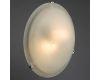 Потолочный светильник Arte Lamp Symphony A3440PL-2CC