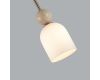 Подвесной светильник Odeon Light Midcent Lolla 6625/1B