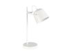 Настольная лампа Evoluce Blank SLE1805-504-01