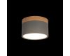 Накладной светильник Loft IT Grape 10162 Grey