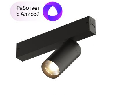 Купить Трековый светильник Denkirs DK8010-BK Трековый светильник Denkirs DK8010-BK