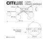 Потолочная люстра Citilux Glob CL209261
