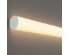 Гибкий неон Maytoni Led Strip Nemo D25 48В 12,5Вт/м 3000К IP65 20м